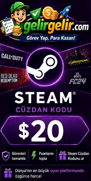 Steam 20 Dolar Cüzdan Kodu